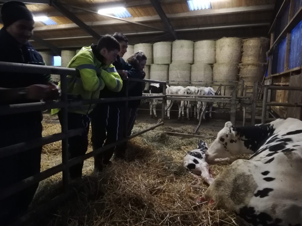 Chambre D Agriculture Le Puy En Velay