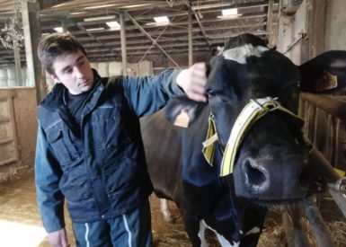 une-journee-de-travaux-pratiques-pour-les-capa-metiers-dagriculture