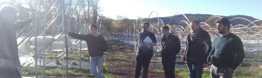rencontre-avec-un-producteur-de-petits-fruits-pour-les-bprea-en-formation-continue