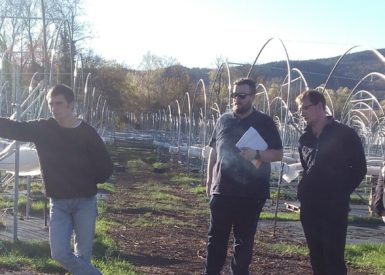 rencontre-avec-un-producteur-de-petits-fruits-pour-les-bprea-en-formation-continue