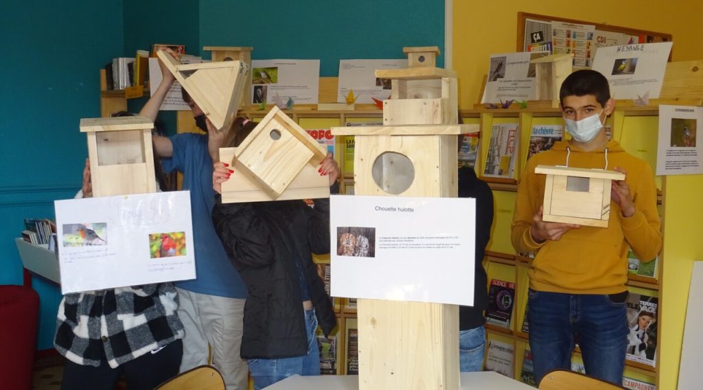 en-4eme-les-jeunes-apprennent-a-travailler-le-bois-avec-mr-bernard