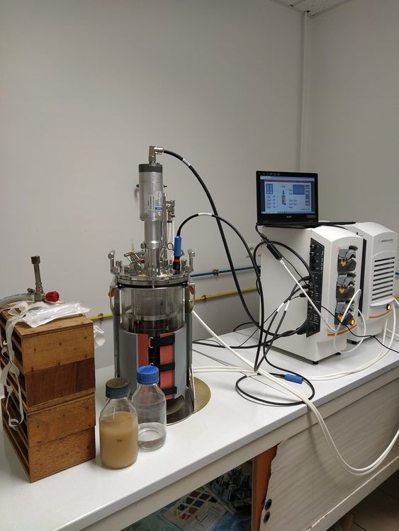 une-production-artisanale-dalcool-a-lisvt