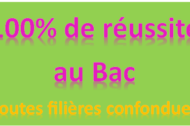 les-resultats-du-bac-sont-tombes