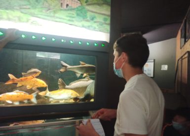 les-eleves-de-2-gt-en-visite-a-la-maison-du-saumon-et-de-la-riviere-a-brioude