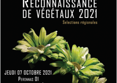 inscription-de-nos-bp-ap-au-concours-de-reconnaissance-de-vegetaux