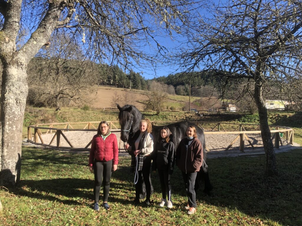 stage-de-mediation-equine-organise-par-les-bts-anabiotec