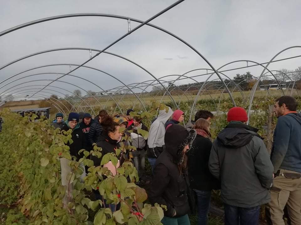 semaine-gestion-des-ressources-humaines