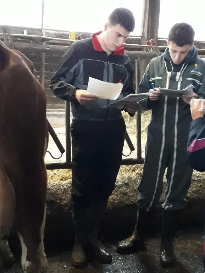 concours-de-pointage-a-lisvt