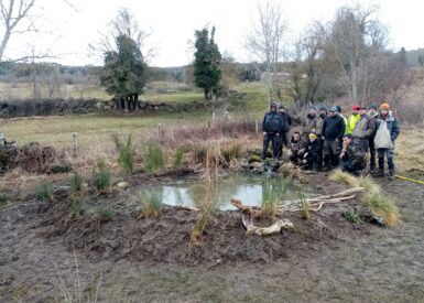 lisvt-forme-les-travailleurs-de-lesat-de-meymac-monastier-sur-gazeille-a-la-creation-de-bassin-ornemental
