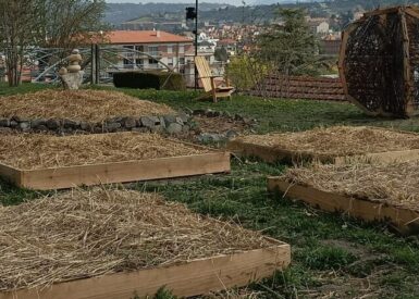 un-jardin-potager-ornemental-a-lisvt