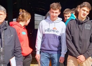 stage-eil-pour-les-1ere-stav-production-agricole