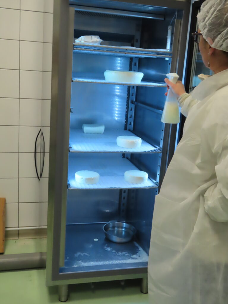 cap-2-ma-fabrication-de-fromages