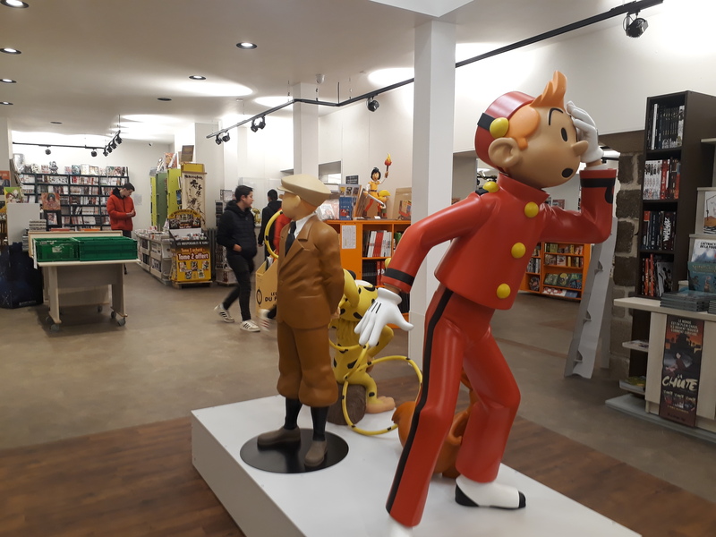 visite-dune-exposition-de-planches-de-bd-a-la-librairie-interlude-pour-les-4ea
