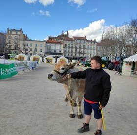la-ferme-sinvite-en-ville