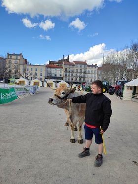 la-ferme-sinvite-en-ville