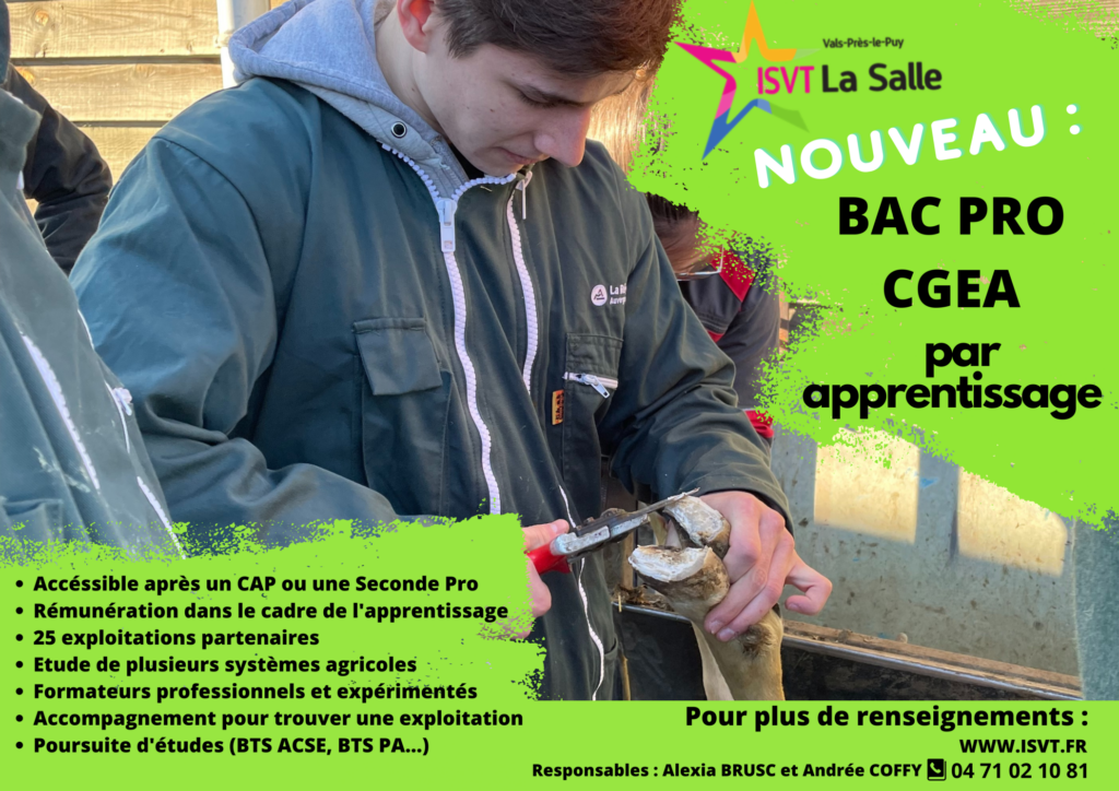rentree-2023-ouverture-du-bac-pro-cgea-par-apprentissage