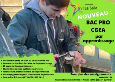 rentree-2023-ouverture-du-bac-pro-cgea-par-apprentissage