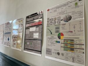 Soutenance LP QSA 12062025 (9)